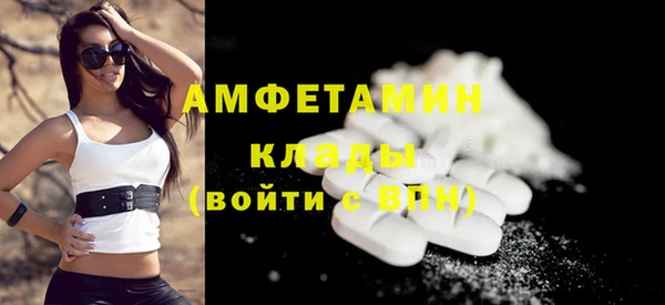 spice Богородицк