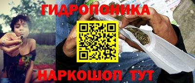 трава Гатчина