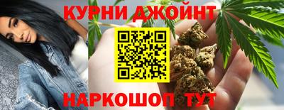 трава Гатчина