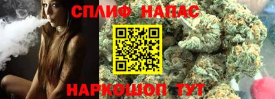трава Гатчина