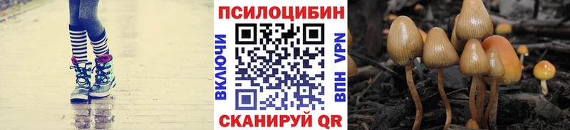 Галлюциногенные грибы Psilocybe Коммунар