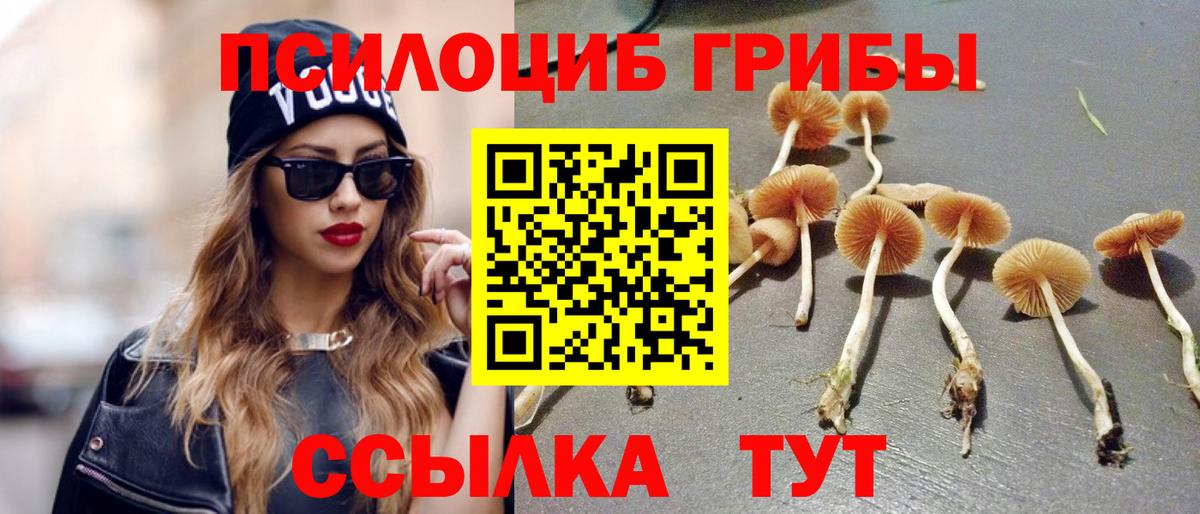 Коммунар  Галлюциногенные грибы Cubensis  Вход с VPN 